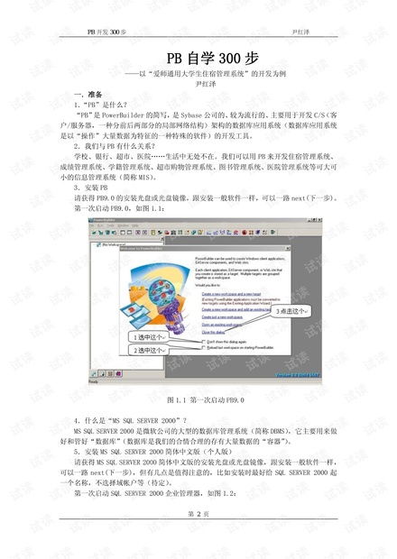 PB技術開發自學資源與CSDN文庫指南